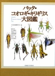 表紙